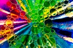 Psychedelic Bubbles